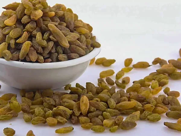 کشمش سبز قلمی کاشمر + بهترین قیمت خرید